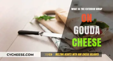 Understanding Gouda's Exterior Wrap: A Guide to Its Protective Coating