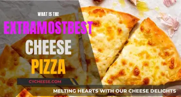 The Ultimate Cheesy Pizza: A Tasty Adventure