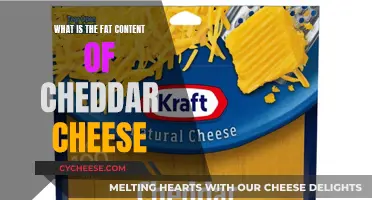 Cheddar Cheese: Unveiling the Creamy Fat Content