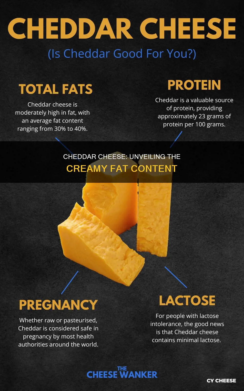 what is the fat content of cheddar cheese