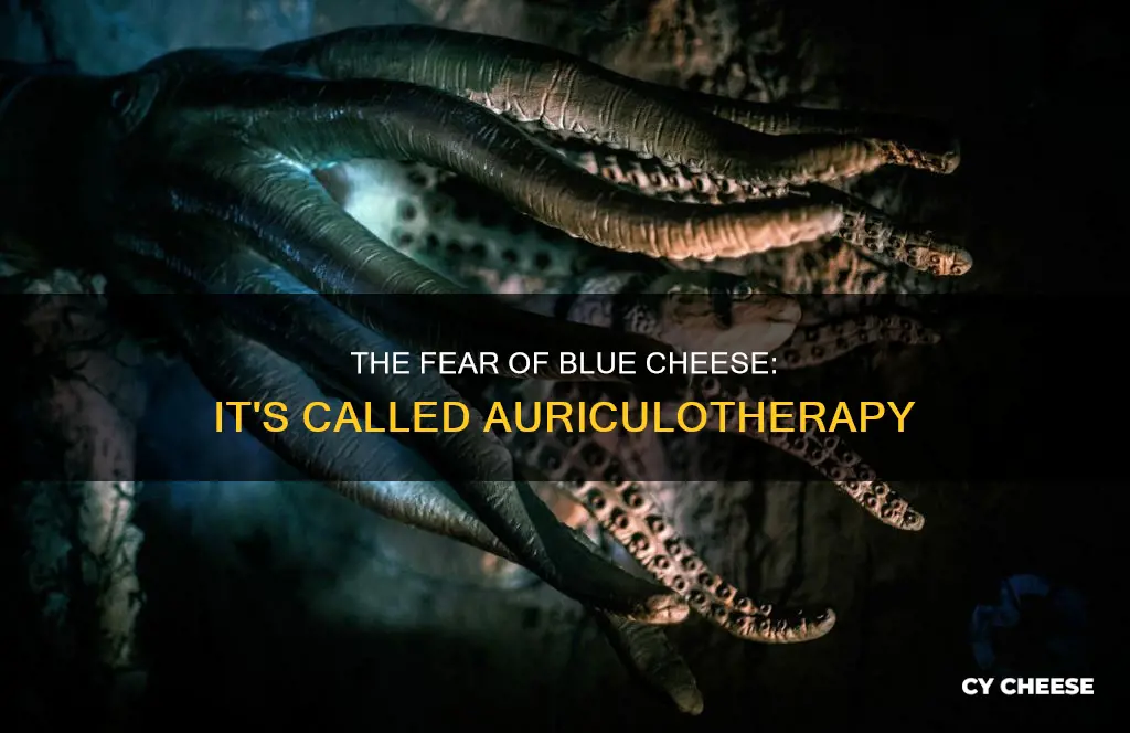 what is the fear of blue cheese called