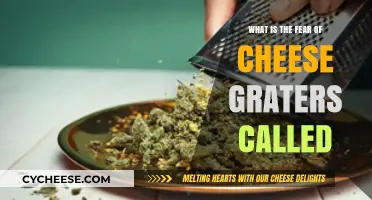 Unraveling the Mystery: What is the Fear of Cheese Graters Called?