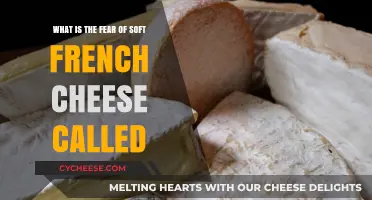 Understanding Francophobique: The Unique Fear of Soft French Cheese Explained
