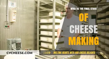 Mastering Cheese Making: Unveiling the Final Stage of Perfection