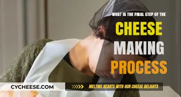 Mastering Cheese Making: The Crucial Final Step Revealed