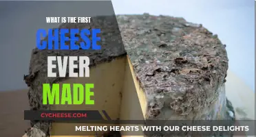 The First Cheese Ever: A Historical Taste