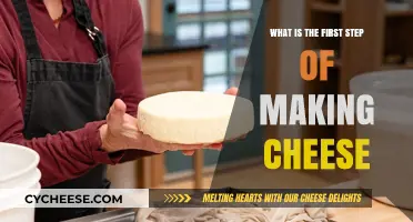 Mastering Cheese Making: The Essential First Step Explained