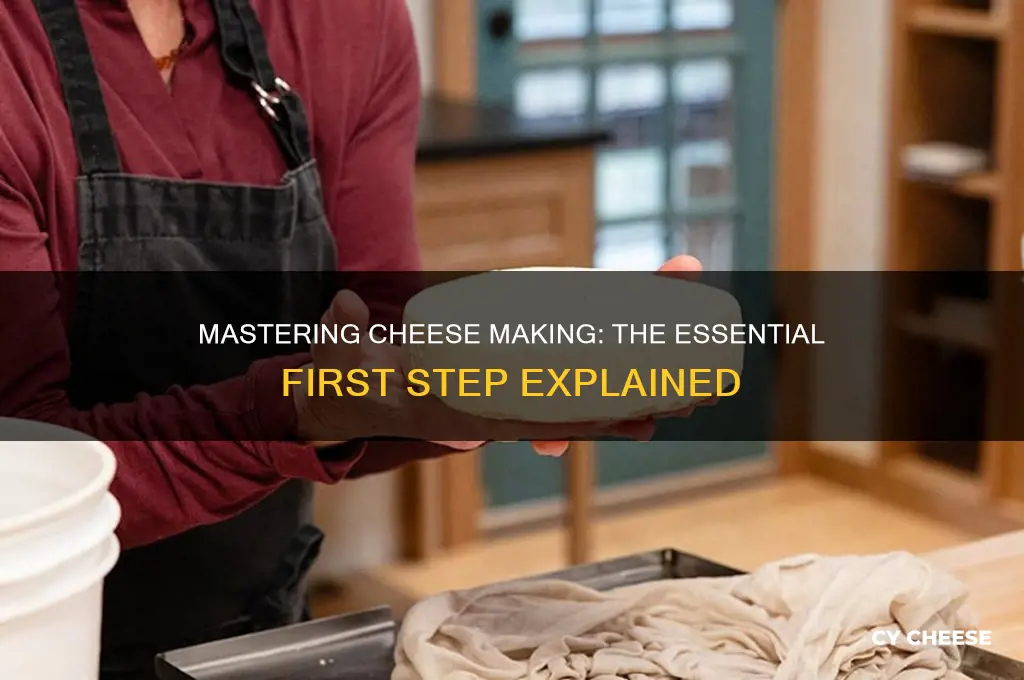 what is the first step of making cheese