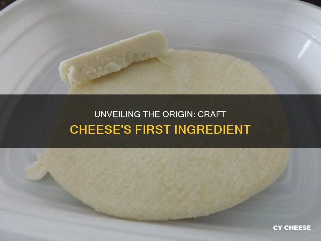 what is the first thing craft cheese made