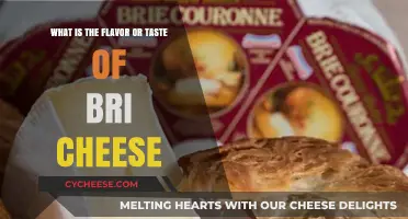 Discover the Unique Flavor Profile of Bri Cheese: A Tasting Guide