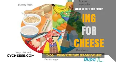 Understanding Cheese: Its Food Group and Nutritional Benefits Explained