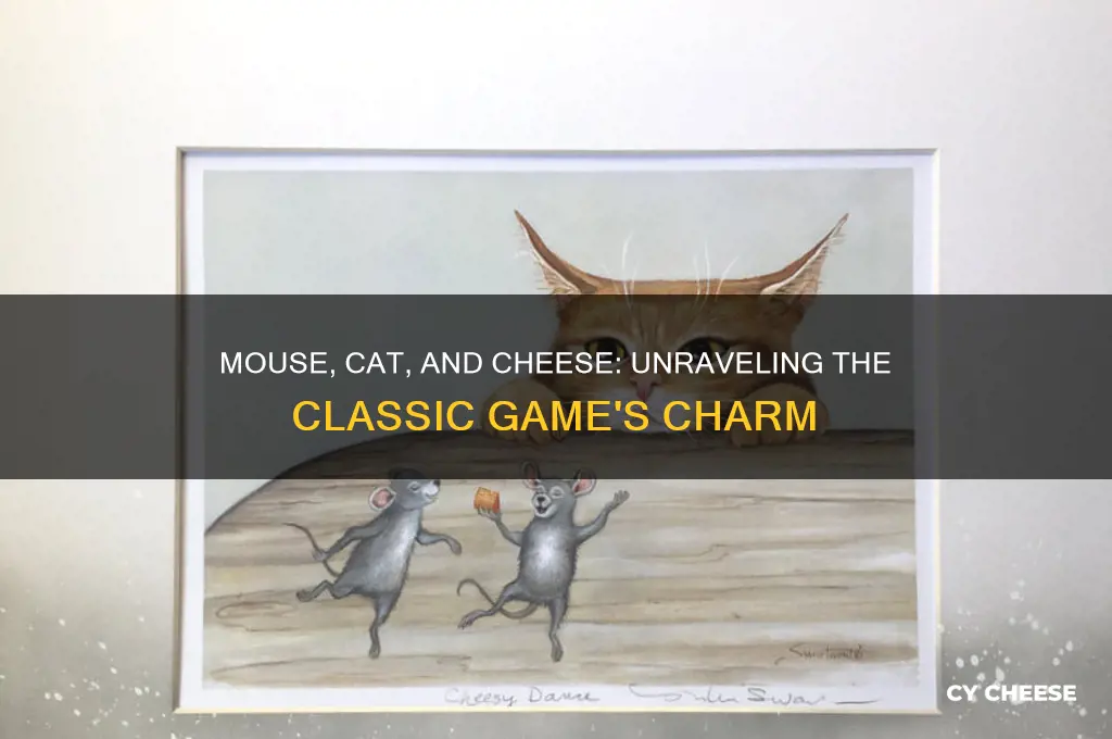 what is the game with the mouse cat and cheese