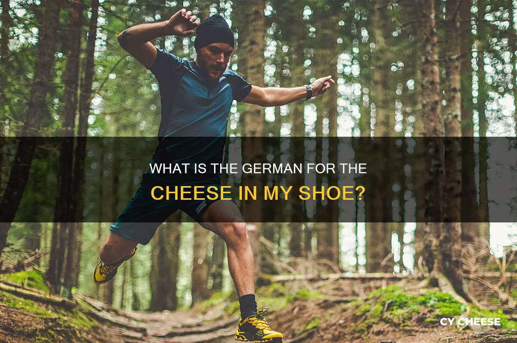 what is the german for the cheese in my shoe