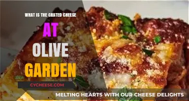 Olive Garden's Grated Cheese: Unveiling the Secret Behind the Flavor