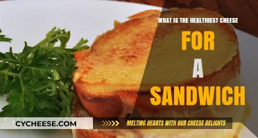 Nutritious Cheese Choices: Top Healthy Options for Your Sandwich