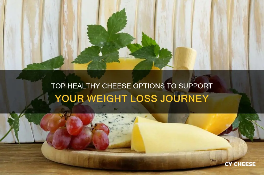 what is the healthiest cheese for weight loss