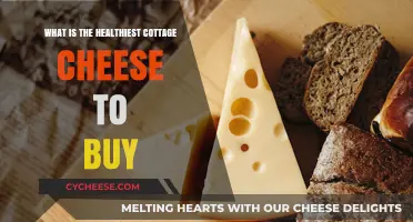 Choosing the Healthiest Cottage Cheese: A Buyer's Guide to Nutritious Options