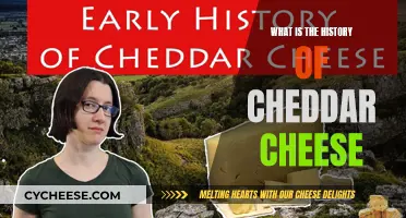 Cheddar's Journey: From Ancient Britain to Global Delight