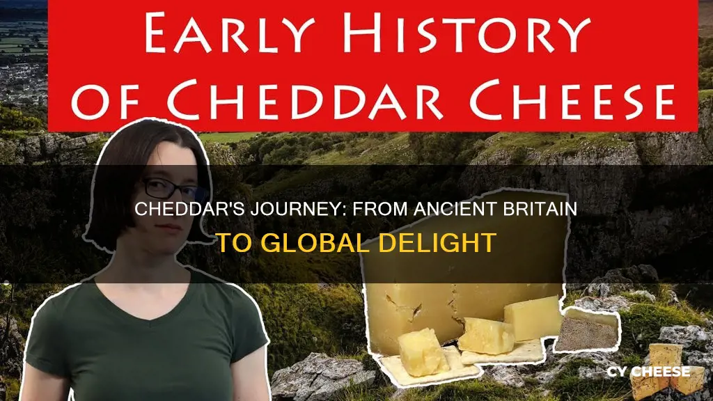 what is the history of cheddar cheese