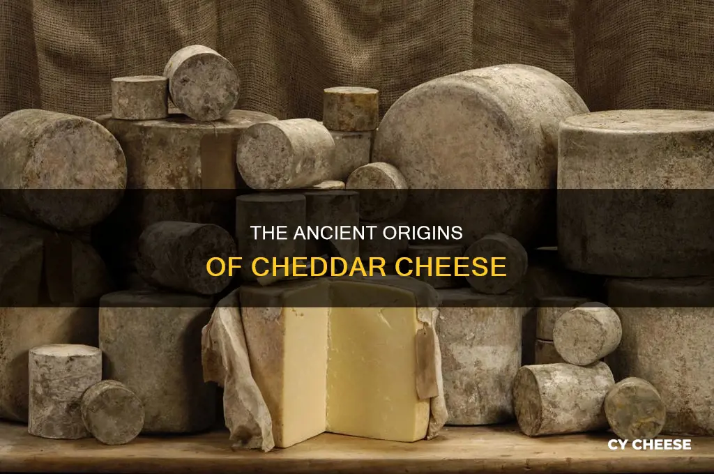 what is the history of cheddar cheese