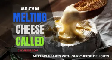 The Art of Cheesy Goodness: Melting Hot Cheese Delights