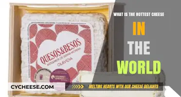 Discover the Fiery World of the Hottest Cheese on Earth