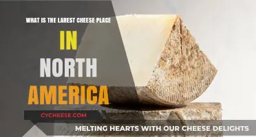 Discover North America's Largest Cheese Destination: A Dairy Lover's Paradise