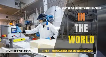 Exploring the World's Largest Cheese Factory: A Dairy Giant Unveiled