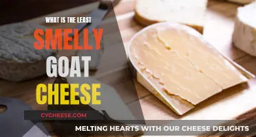 The Least Smelly Goat Cheese: A Tasty Adventure