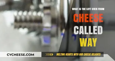 What's Left After Cheese Making? Exploring the By-Product Called Whey