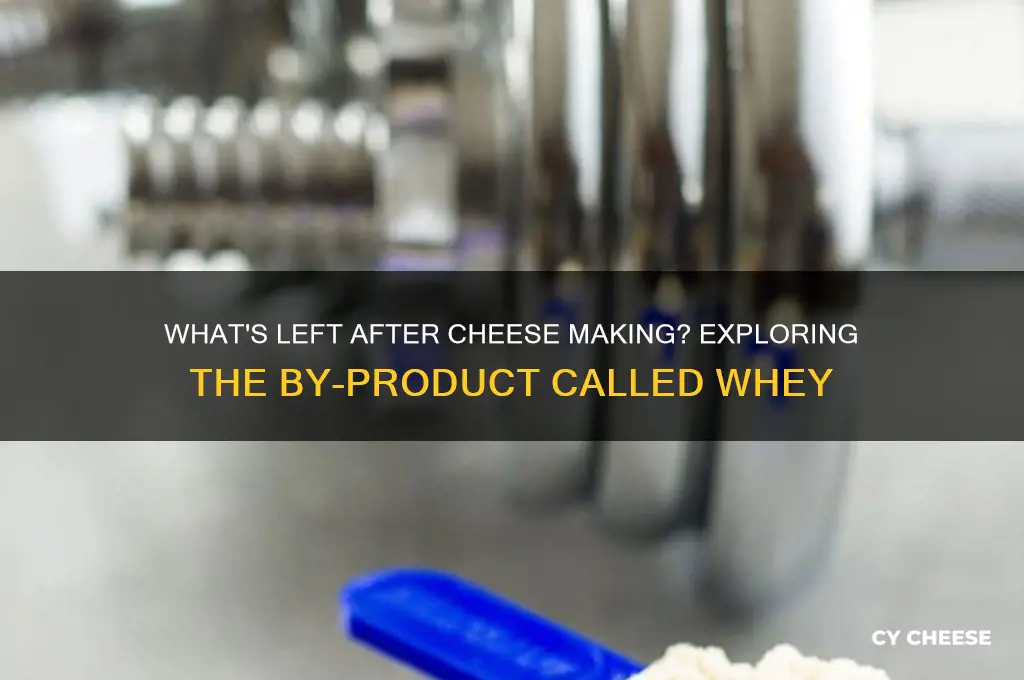 what is the left over from cheese called way