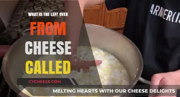 What's Left After Cheese Making? Exploring Whey and Its Uses