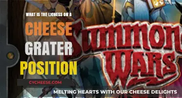 Lioness on a Cheese Grater: Unveiling the Unique Position Explained