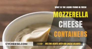 Understanding the Liquid in Fresh Mozzarella Cheese Containers: A Guide