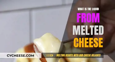Cheese Conundrum: What's That Liquid?