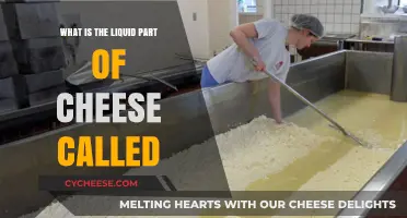 Unveiling the Mystery: What is the Liquid Part of Cheese Called?
