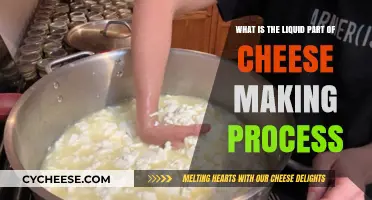 Understanding Whey: The Essential Liquid in Cheese Making Process