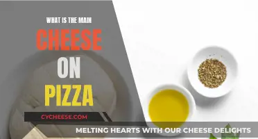 The Ultimate Guide to the Perfect Pizza Cheese