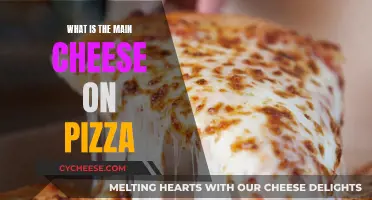 Cheese, the Heart of Pizza: What's the Main Type?