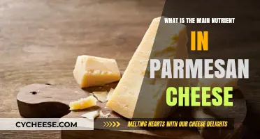 Parmesan Cheese: Unlocking the Power of Nutrients