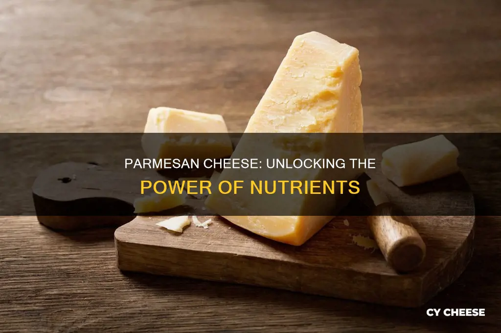 what is the main nutrient in parmesan cheese