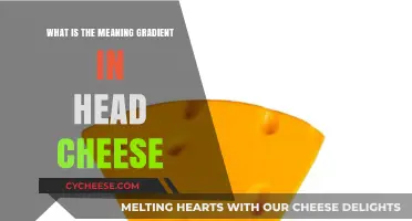 Understanding the Meaning of Gradient in Head Cheese: A Culinary Exploration