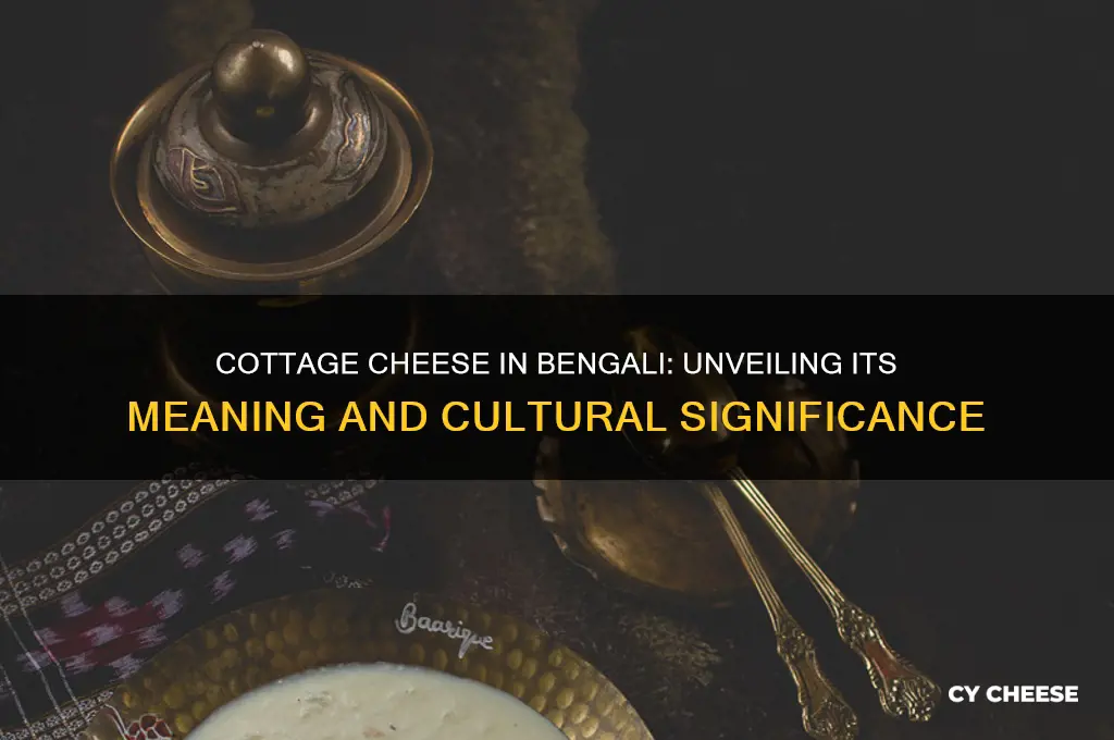 what is the meaning of cottage cheese in bengali