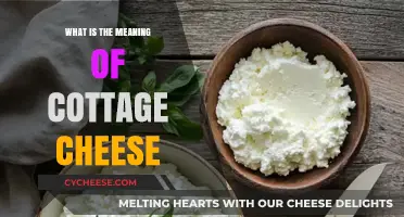 Understanding Cottage Cheese: Origins, Texture, and Culinary Uses Explained
