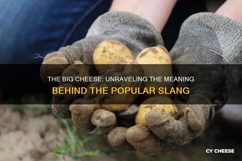 what is the meaning of the big cheese