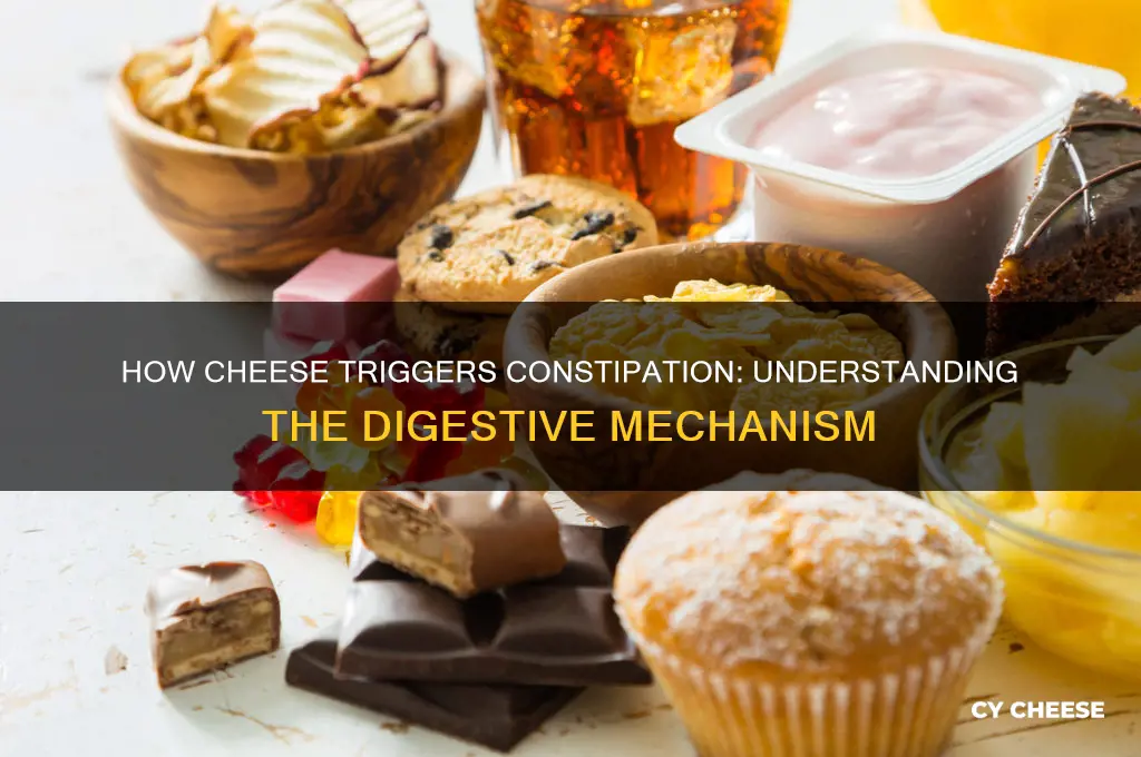 what is the mechanism of how cheese cause constipation