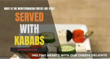 The Cheesy Kabab Companion: Unveiling the Mediterranean Mystery