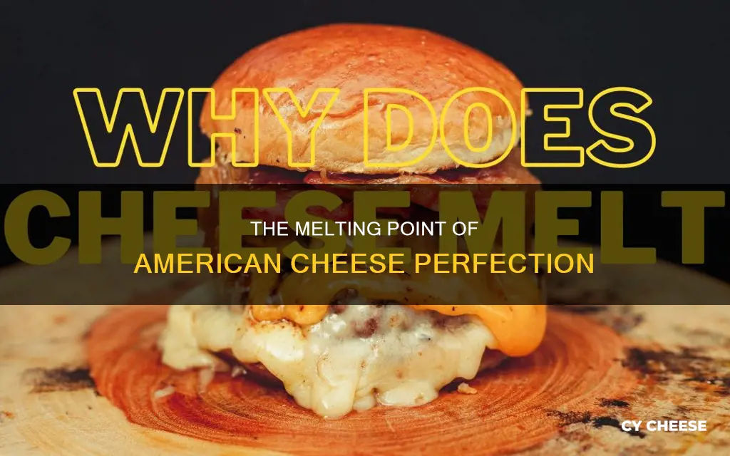 what is the melting point of american cheese