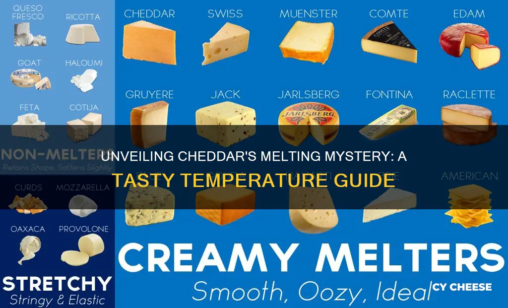 what is the melting point of cheddar cheese