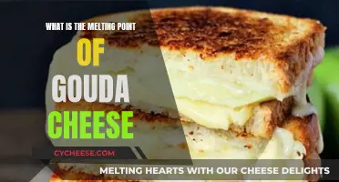 Gouda Cheese Melting Point: All You Need to Know